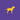 Medium Dog