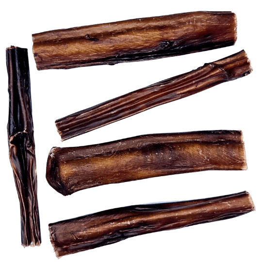 Bull pizzle sticks clearance