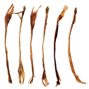 Deer Sinew