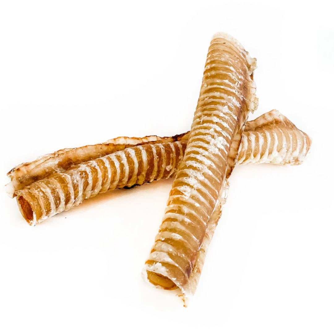 Beef Windpipe Beef Trachea XL - The Big Boy – Chewsday