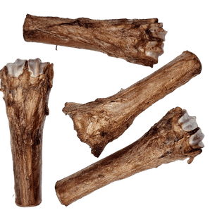 Deer Shank Bone Chewsday