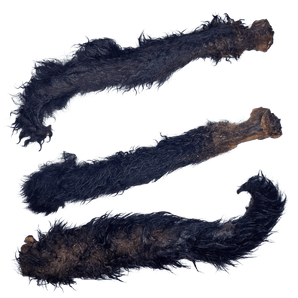 Hairy Possum Tails